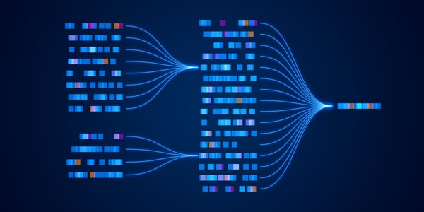 CRM applications explained through how businesses actually work